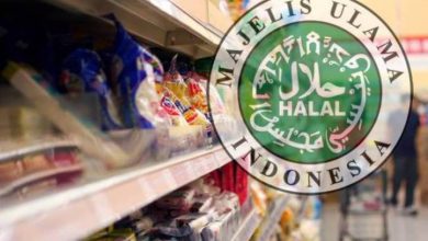 Biaya Buat Sertifikat Halal