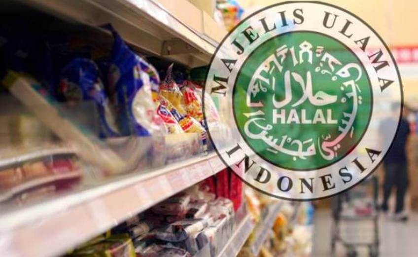 Biaya Buat Sertifikat Halal