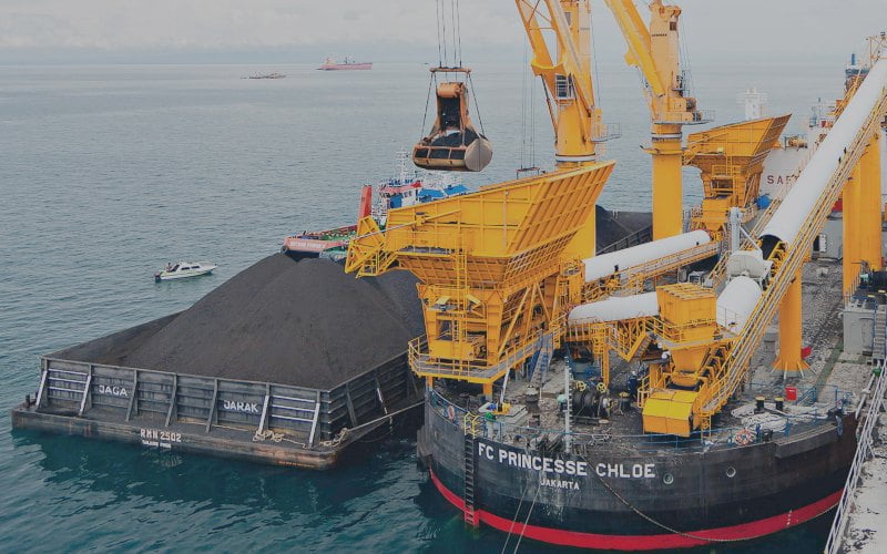 bargecoalindika bisnis.com