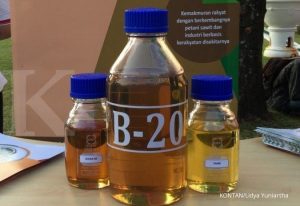 Biofuel energy lewati target dari mandatori 2021
