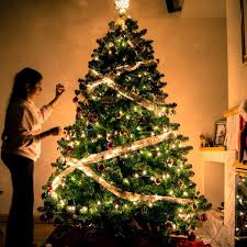 Pohon Natal laku keras di Batam