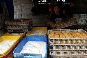 Sebab Tempe Hilang di pasar