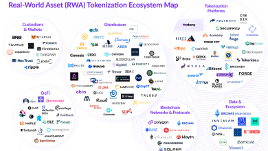 RWA Ecosystem Map 2025 Sumber Tokeny