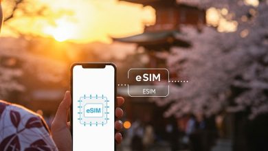 Ilsutrasi eSIM sumber cdjapan jp