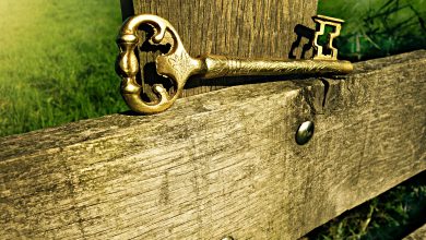 open wood vintage antique green entrance key metal gate security sculpture safety locked golden key 542812
