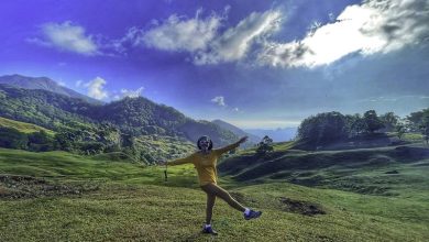 Padang Savana Gunung Mutis NTT Sumber mytripcoid