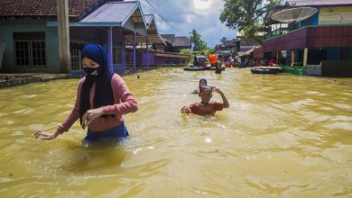 59571 banjir di tanah bumbu kalsel Sumber Istimewa