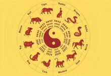 Ilustrasi Ramalan Shio 2026 Berdasarkan Budaya Tionghoa Sumber Foto Warta Kini Denpasar