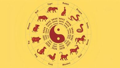 Ilustrasi Ramalan Shio 2026 Berdasarkan Budaya Tionghoa Sumber Foto Warta Kini Denpasar